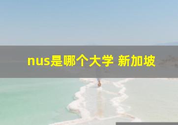 nus是哪个大学 新加坡